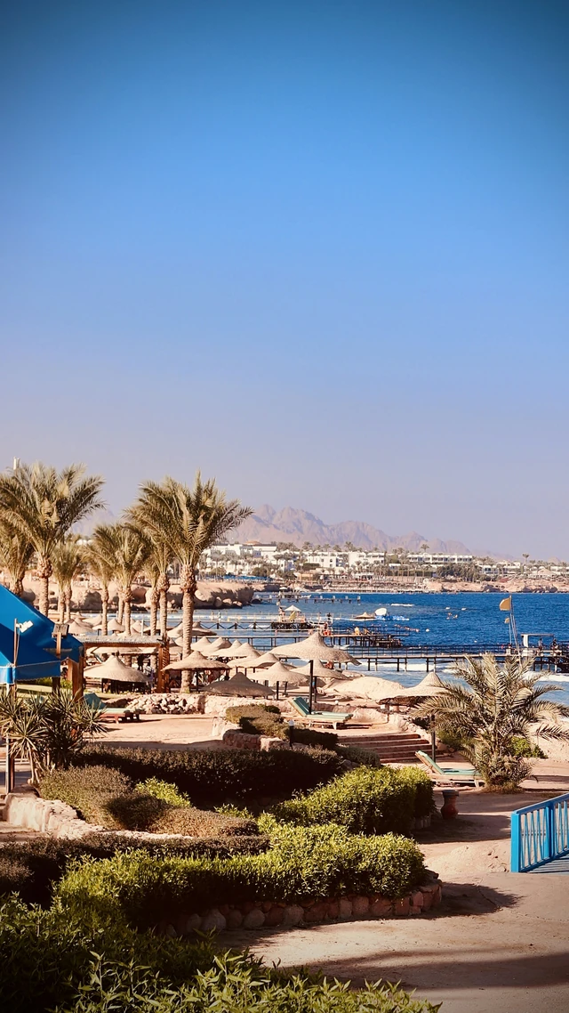 Strand och palmer vid Sharm el Sheikh